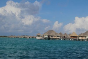 IMG_1417