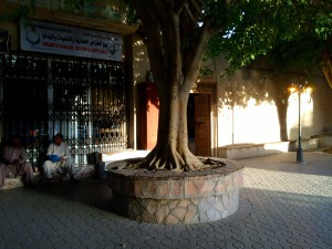 IMG_0569