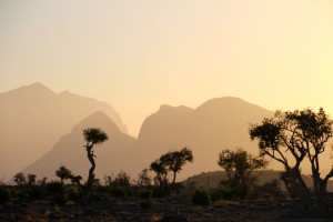 IMG_4021
