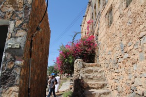 IMG_4176