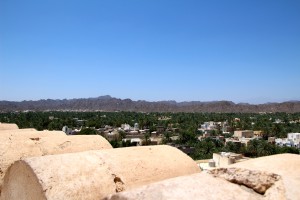 IMG_4335
