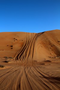 IMG_4565