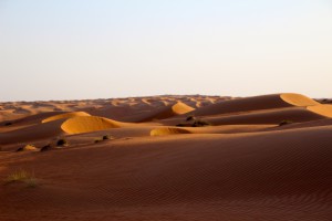 IMG_4593