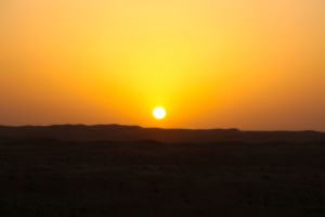 IMG_4624