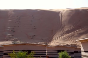 IMG_4633