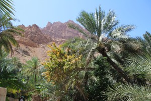 IMG_4838